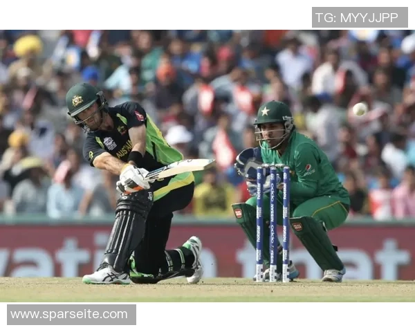 印度板球博彩的灰色地带与法律监管的挑战与机遇分析